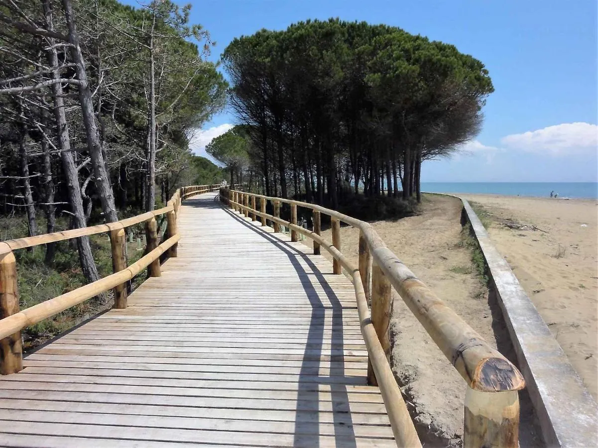 Apartment In Bibione 42842
