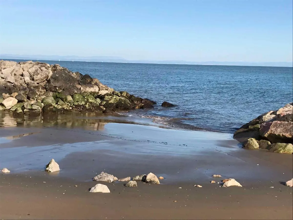Apartment In Bibione 42842